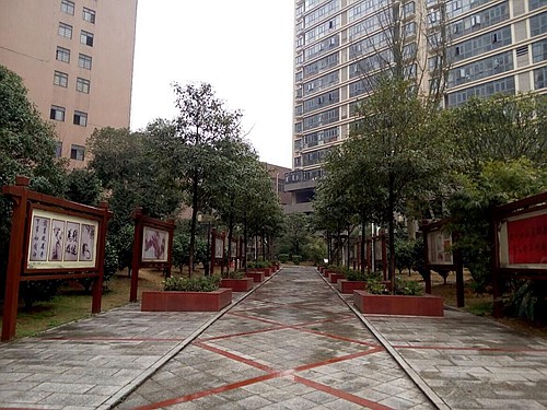 乐坪街道书画2.jpg