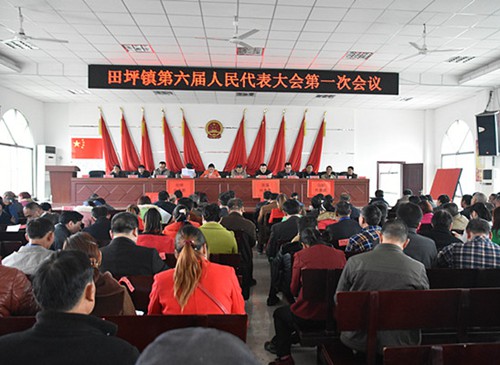 大会现场.jpg