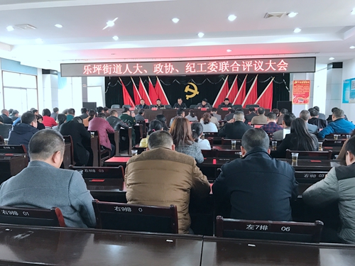 民主评议1.JPG