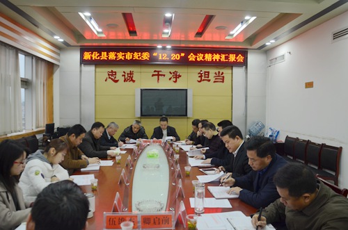 汇报会现场.JPG