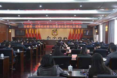 市国资委反馈会图片.jpg