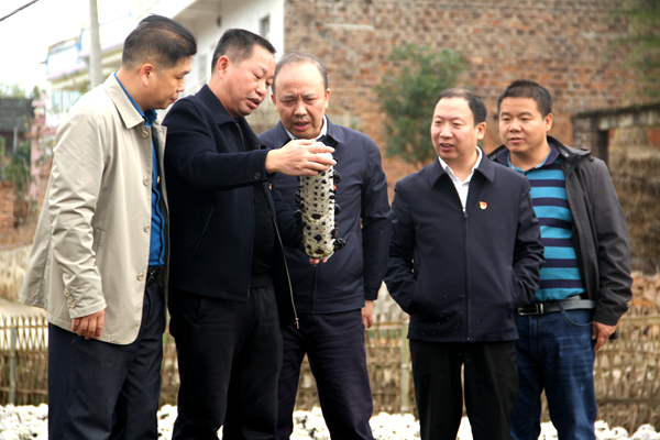 毛健刚（左三）在江口村了解产业扶贫情况IMG_8624.JPG